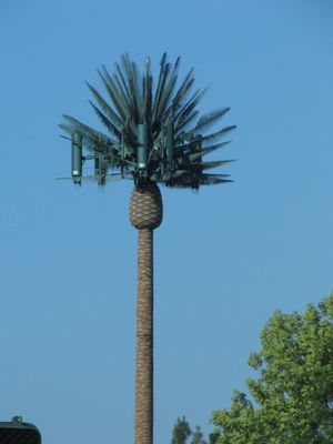 Tiang tunggal menara sel pohon pinus kamuflase GSM