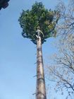 Telecom Palm Tree 10m Tinggi Kamuflase Cell Tower