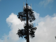 Komunitas Kamuflase Menara Sel Komunikasi Pohon Pinus
